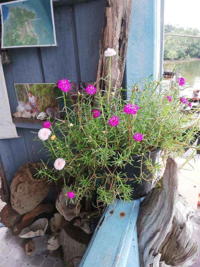Firefly Guesthouse Prek Svay Village Luaran gambar